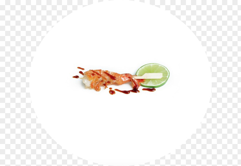 Sushi Takeaway Insect Decapoda Pest Seafood PNG