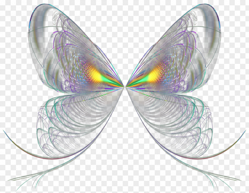 Wings Animaatio Aile Wing Idea PNG