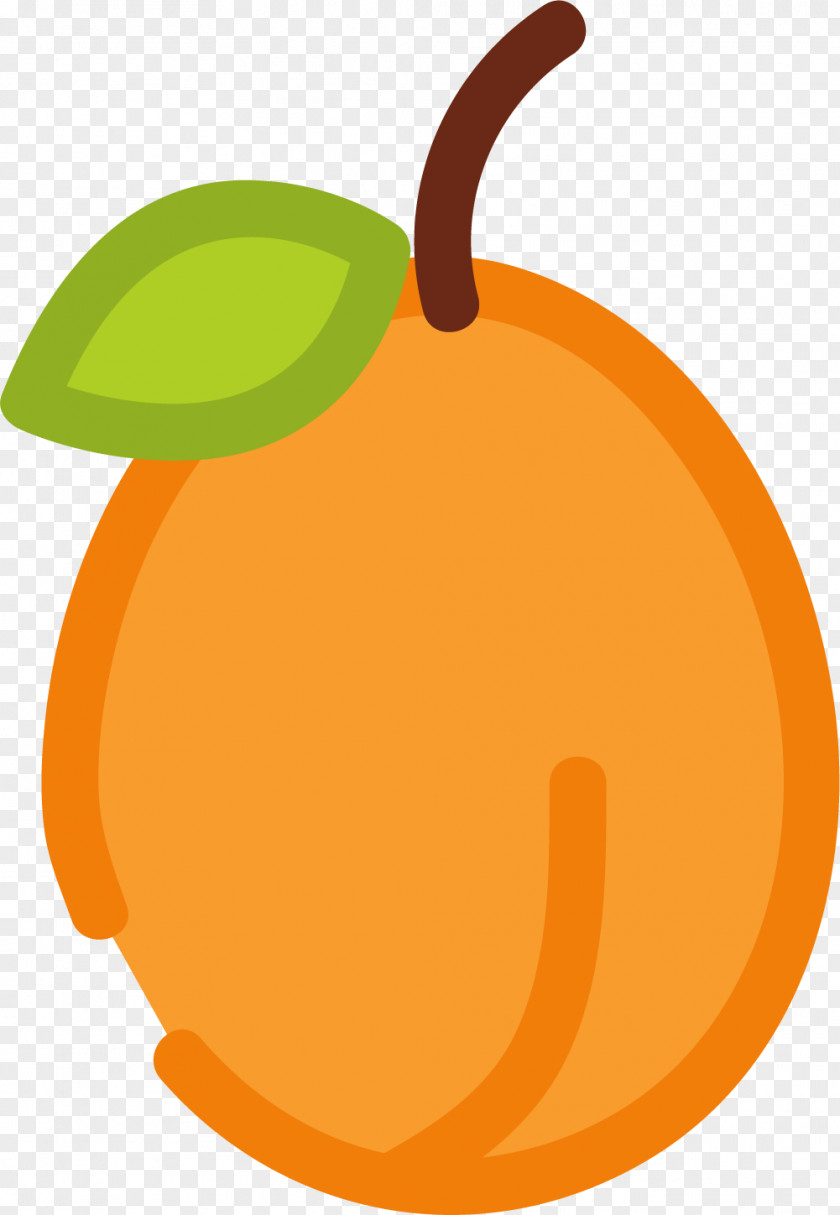 Yellow Peach Color Drawing Clip Art PNG