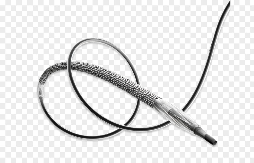 Cardiac Catheterization Medtronic Stenting Coronary Stent Drug-eluting Artery Disease PNG