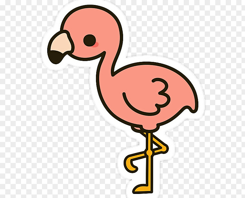 Flamingo Drawing Bird Clip Art PNG
