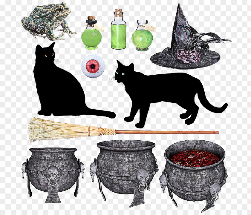 Games Korat Cat Black Small To Medium-sized Cats Schipperke Table PNG