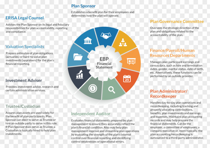 Infographic Template Financial Statement Audit American Institute Of Certified Public Accountants Organization PNG