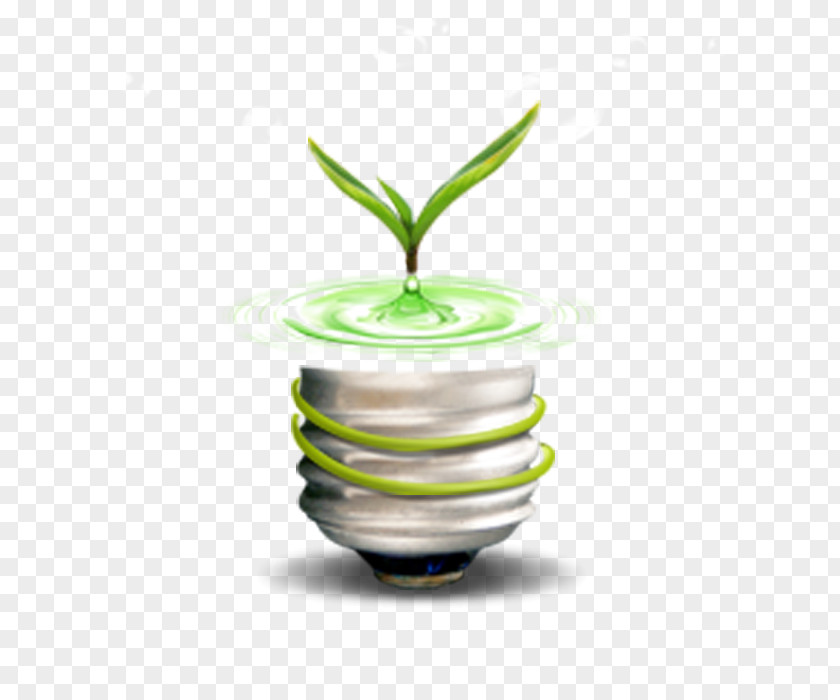 Light Bulb Incandescent Environmental Protection Green PNG