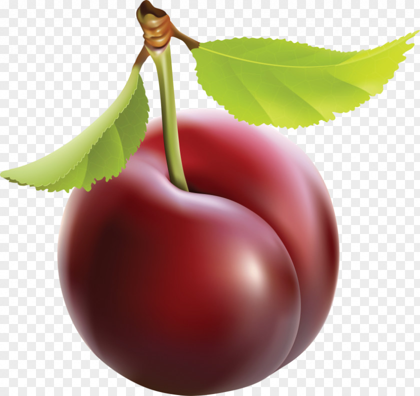 Plum Clip Art Sugar Openclipart PNG