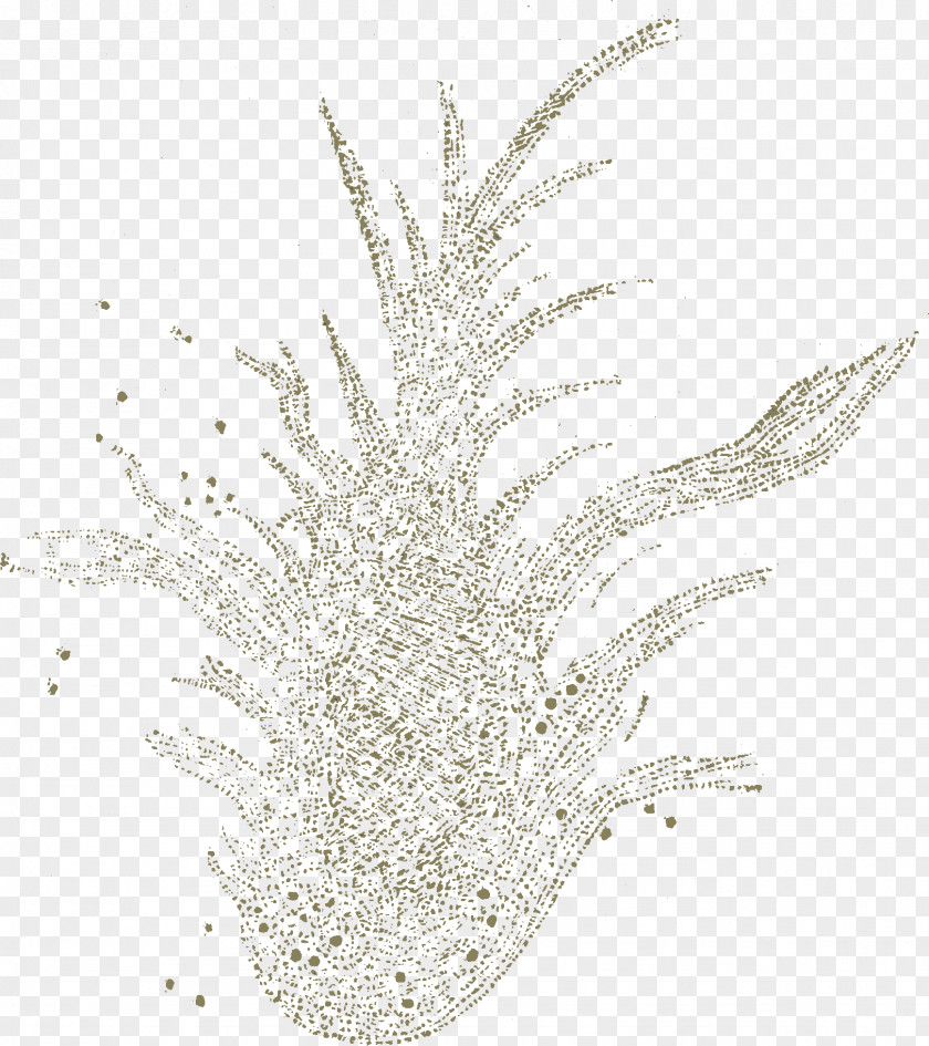 Crab Grasses Organism Plant Close-up Animal PNG