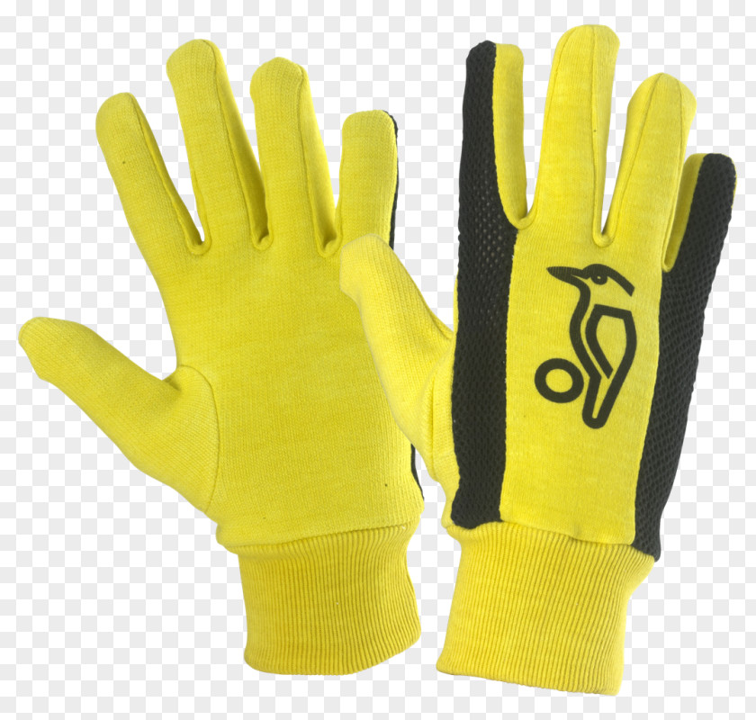 Cricket Wicket-keeper's Gloves Pads PNG
