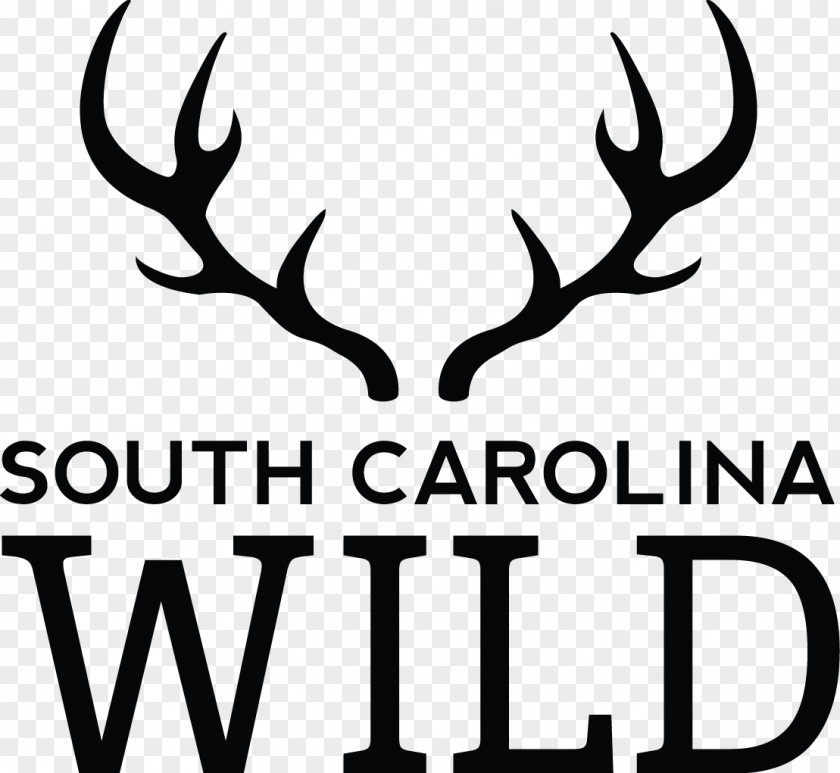 Hunting South Carolina Department Of Natural Resources Deer Wildlife Shop Equal Employment Opportunity Antler PNG