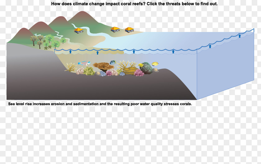 Sea Level Rise Climate Change Global Warming Ocean Acidification PNG