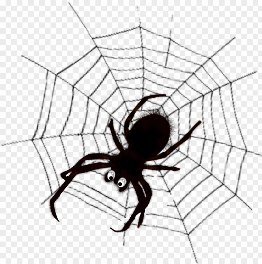 Spider Widow Spiders Web Black And White Clip Art PNG