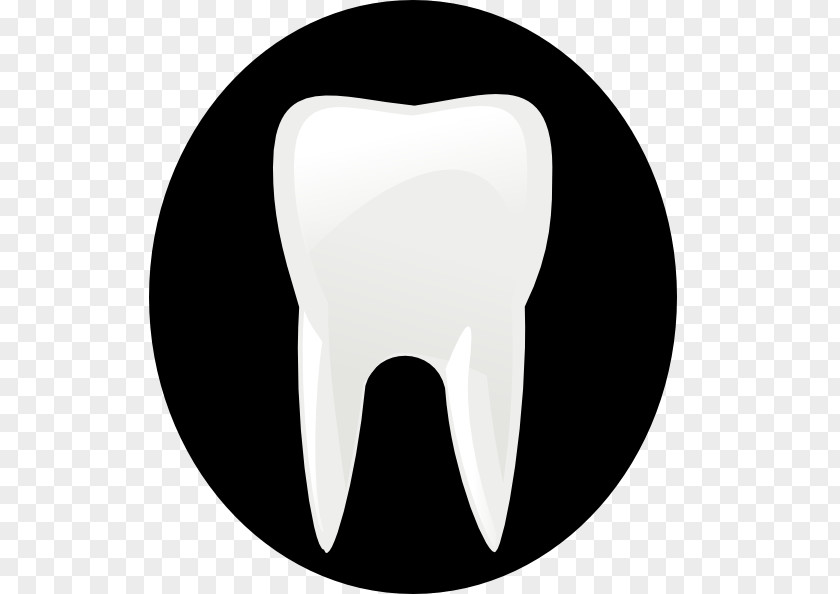 Toothbrush Dentistry Tooth Clip Art PNG