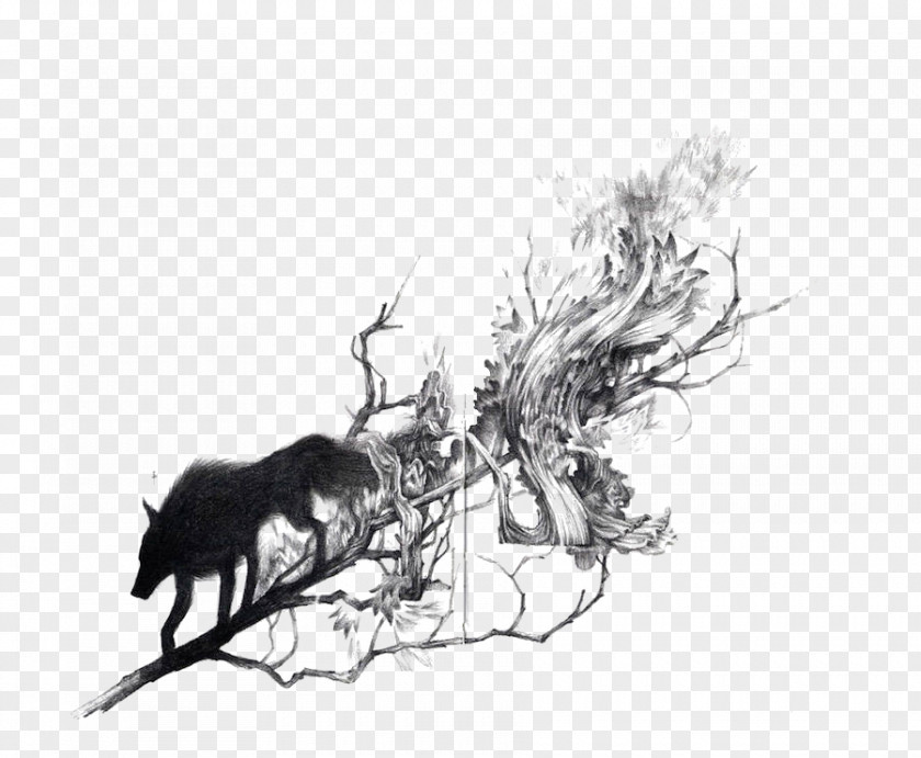 Black Wolf Drawing Illustrator Art Illustration PNG