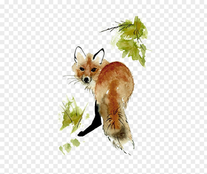 Fox Red Watercolor Painting Drawing Art PNG