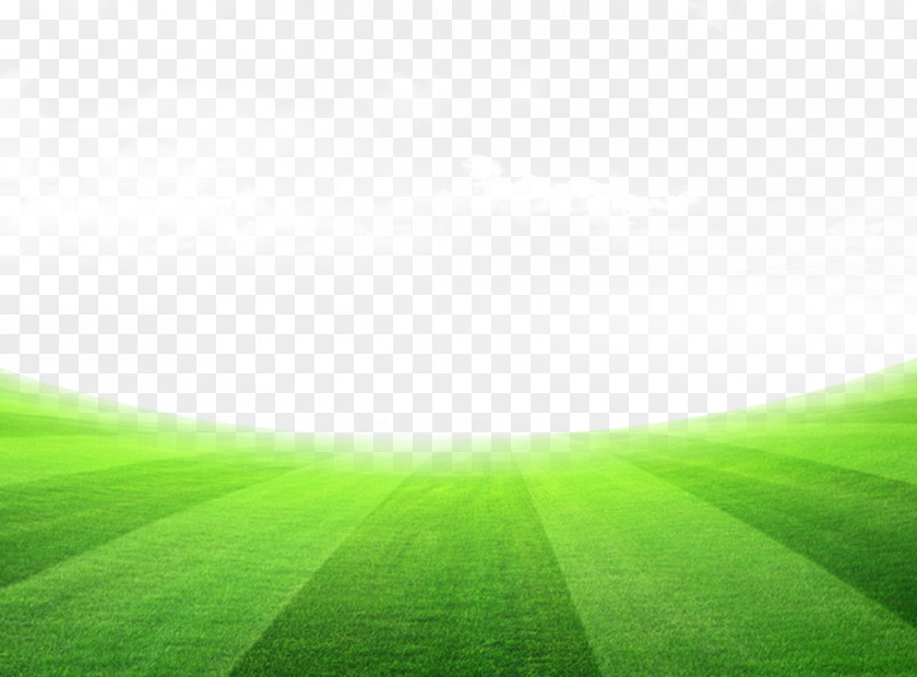 Grass Football Field Lawn Meadow Sky Wallpaper PNG