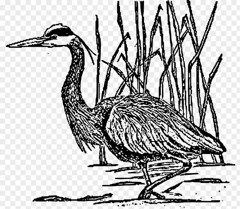 Great Clipart Bird Blue Heron Wildlife Clip Art PNG