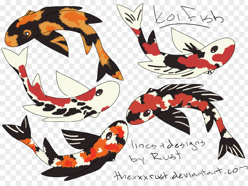 Koi Butterfly Drawing Animal PNG