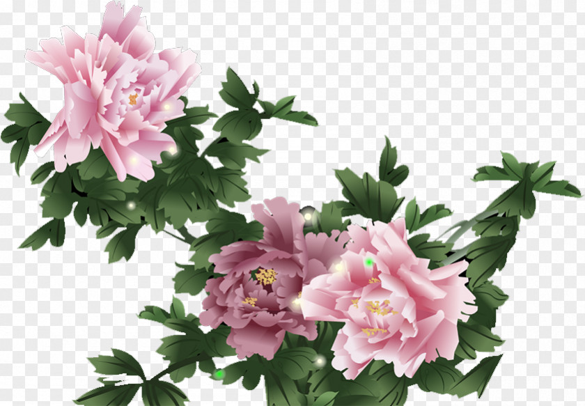 Peony Floral Design Dizi PNG