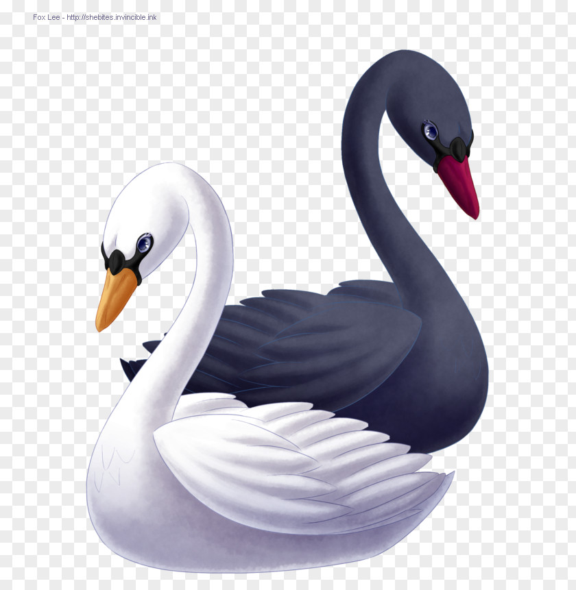 Swan Princess Odette Goose Duck Black Drawing PNG