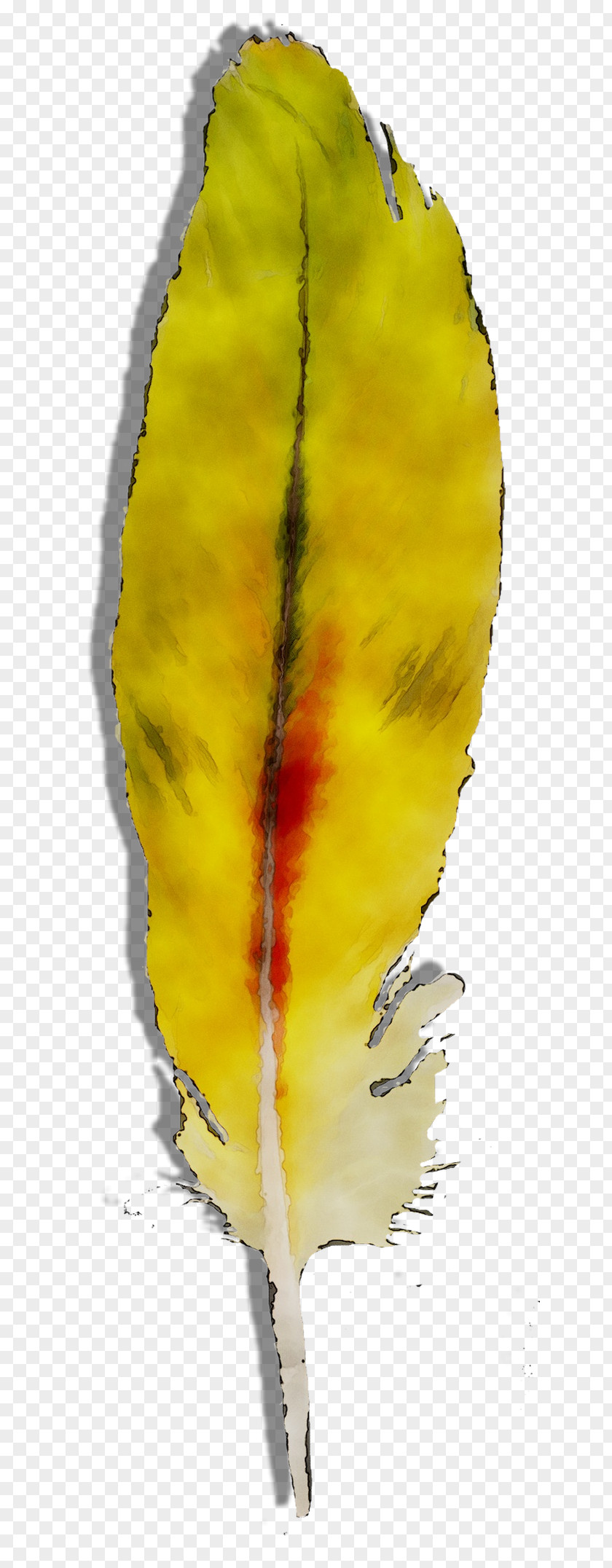 Yellow Leaf PNG