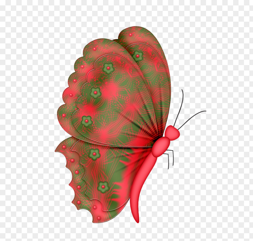 Anthurium Christmas Decoration Drawing PNG