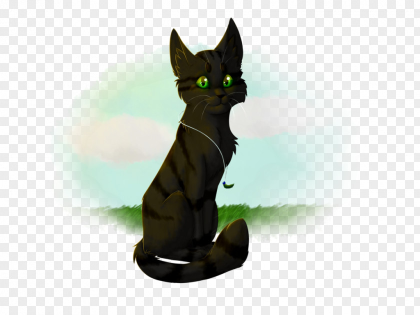 Kitten Black Cat Korat Tabby Whiskers PNG