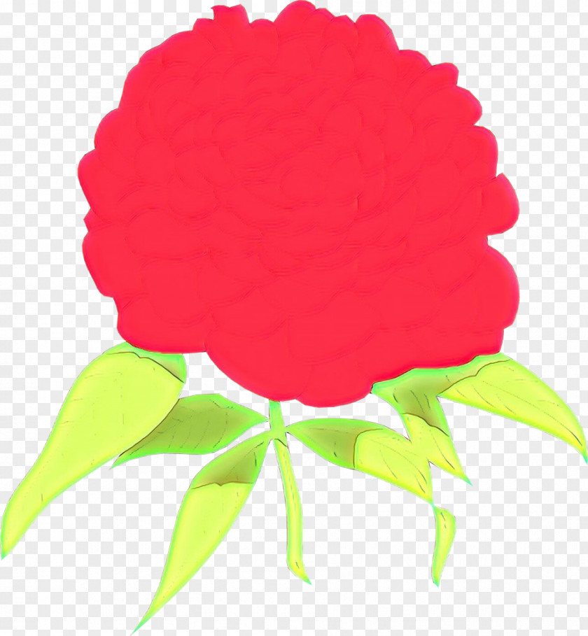 Petal Magenta Red Pink Leaf Clip Art Plant PNG