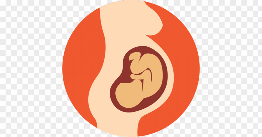 Pregnancy Clip Art Vector Graphics PNG