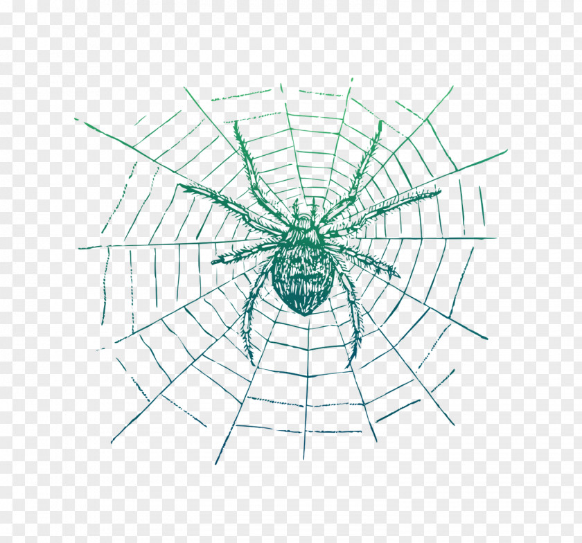 Spider-Man Spider Web Spiders & Insects Black House PNG