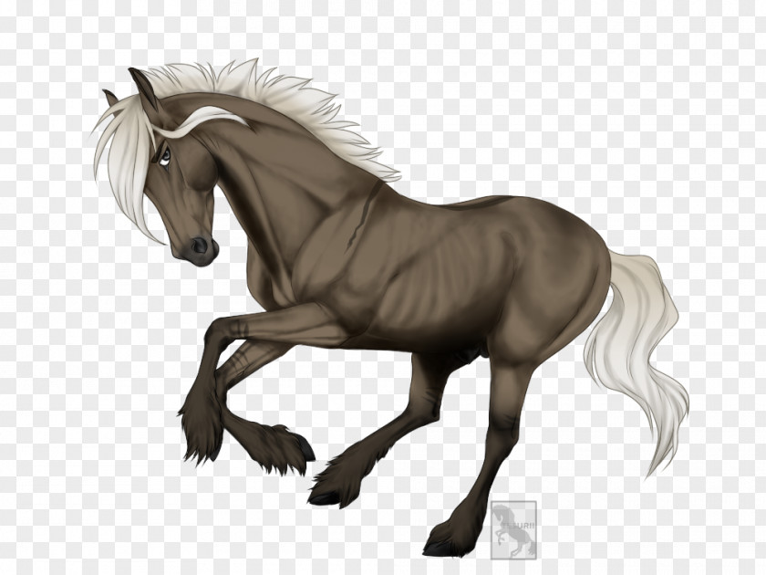 Xuandong Start Running Mane Mustang Stallion Pony Foal PNG