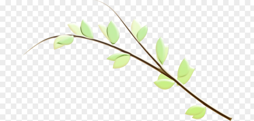 Branch Flower Plant Twig Leaf PNG