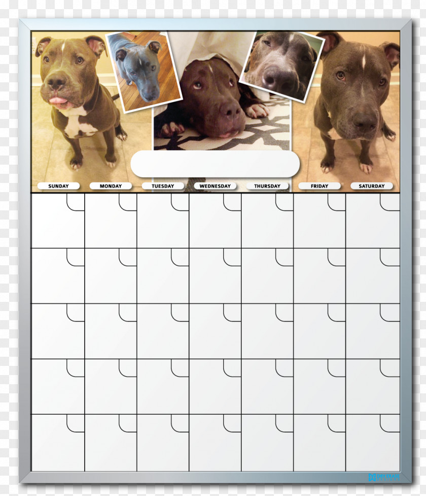Dog Breed Dry-Erase Boards Calendar Puppy PNG
