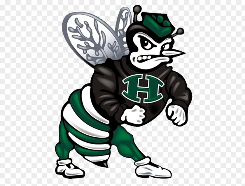 Haines City High School Hornet Huntsville Sport National Secondary PNG