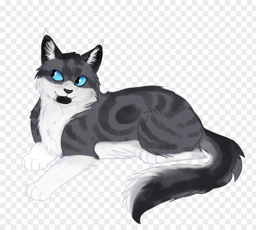 OLD MAN Cat Kitten Drawing Art Whiskers PNG