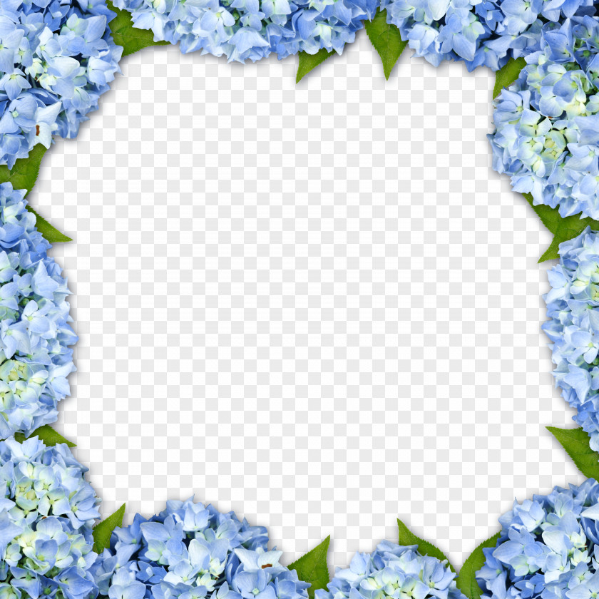 Purple Floral Border Background Hydrangea Picture Frame Flower PNG