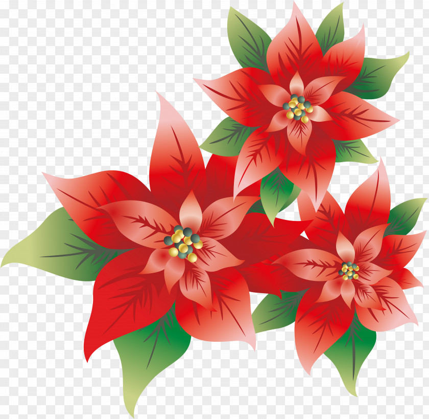 Burgundy Flowers Christmas Clip Art PNG