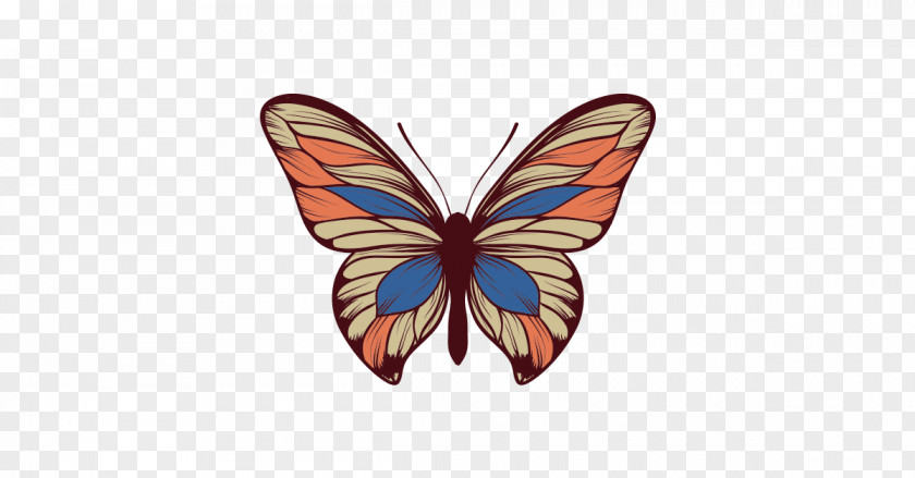 Butterfly Monarch Insect PNG