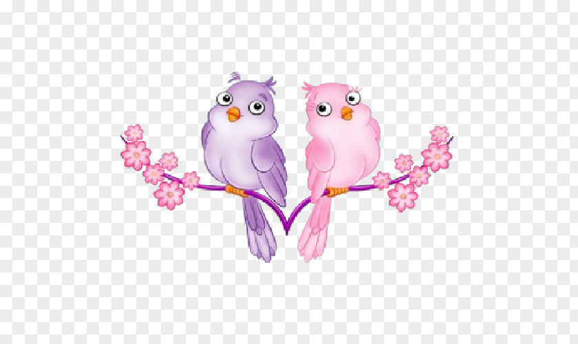 Cartoon Animal Lovers Lovebird Drawing Clip Art PNG