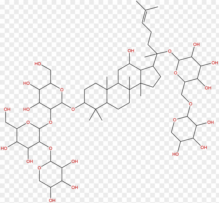 Chengdu Panax Notoginseng Ginsenoside Chinese Herbology Saponin PNG