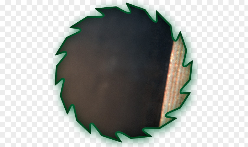 Circle Leaf PNG