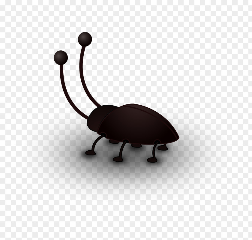 Cockroach Clip Art Beetle Openclipart Antenna PNG