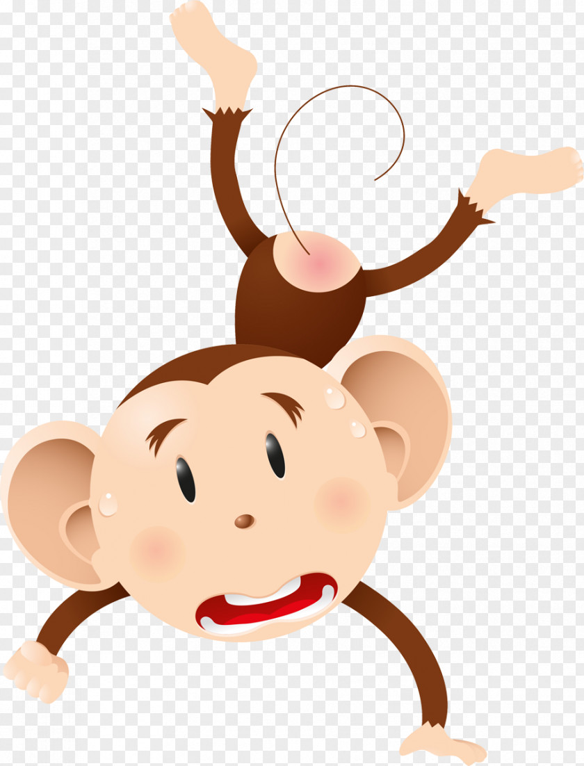 Monkey Ape Gorilla Chimpanzee Primate PNG