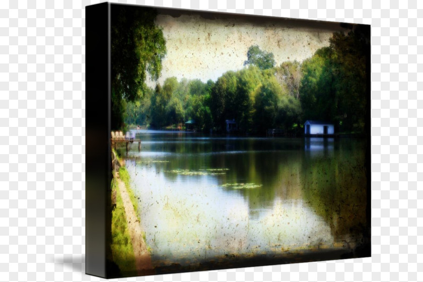 Painting Bayou Water Resources Picture Frames Feature PNG