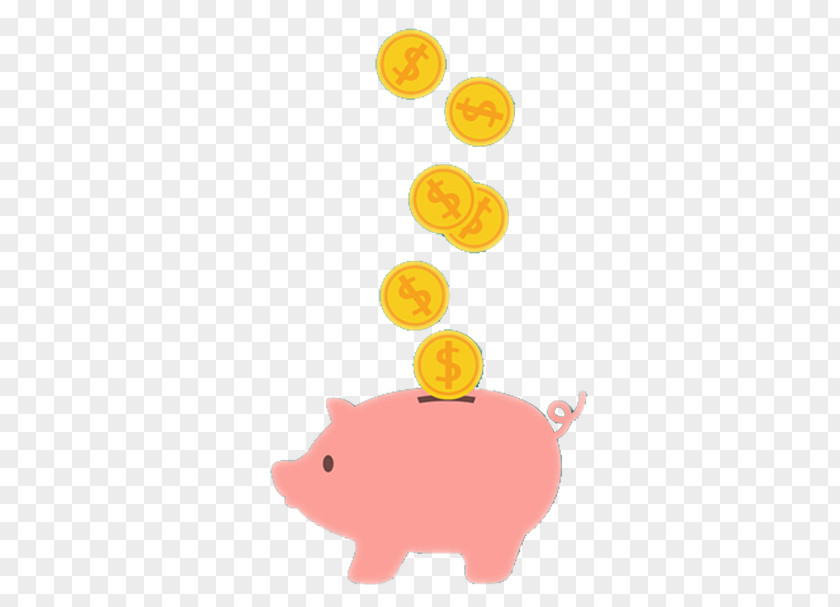 Piggy Bank Coin PNG