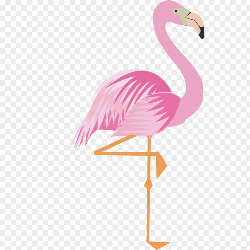 Pink Cartoon Flamingo 17 Material Greater Drawing PNG