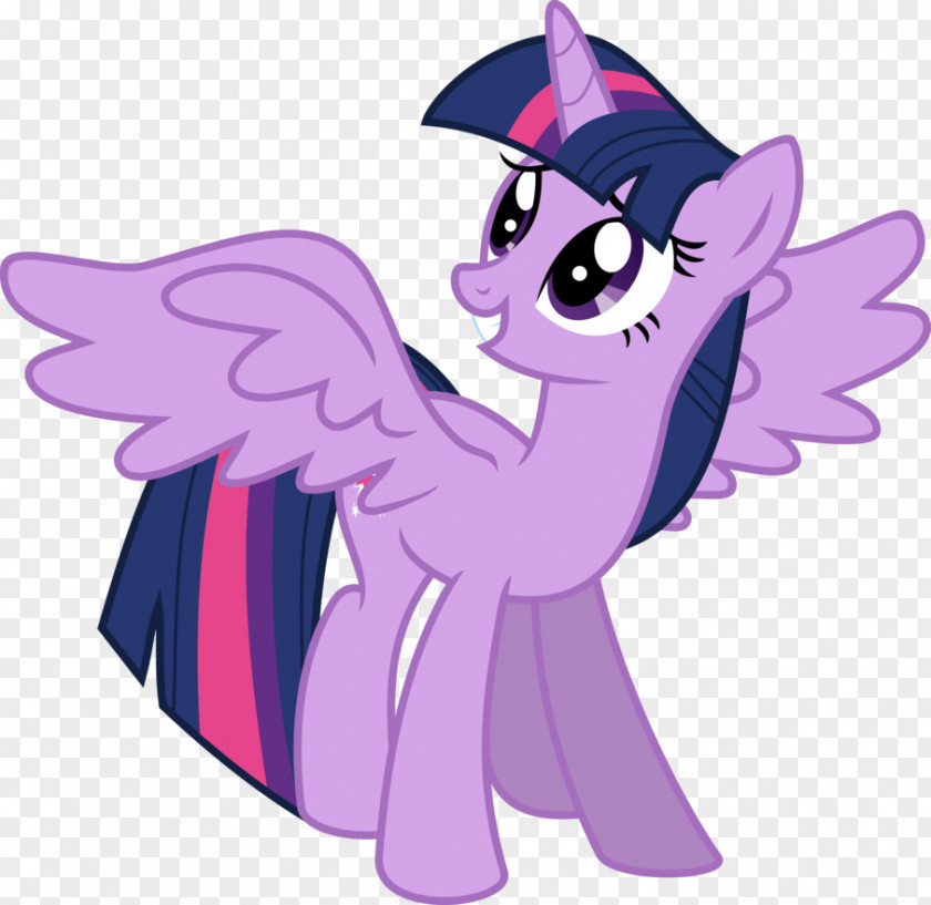 Twilight Sparkle Pony Rarity Princess Cadance PNG