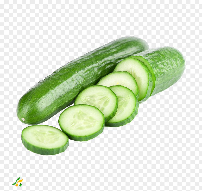 Cucumber Pickled Sandwich Vegetable Vegetarian Cuisine PNG