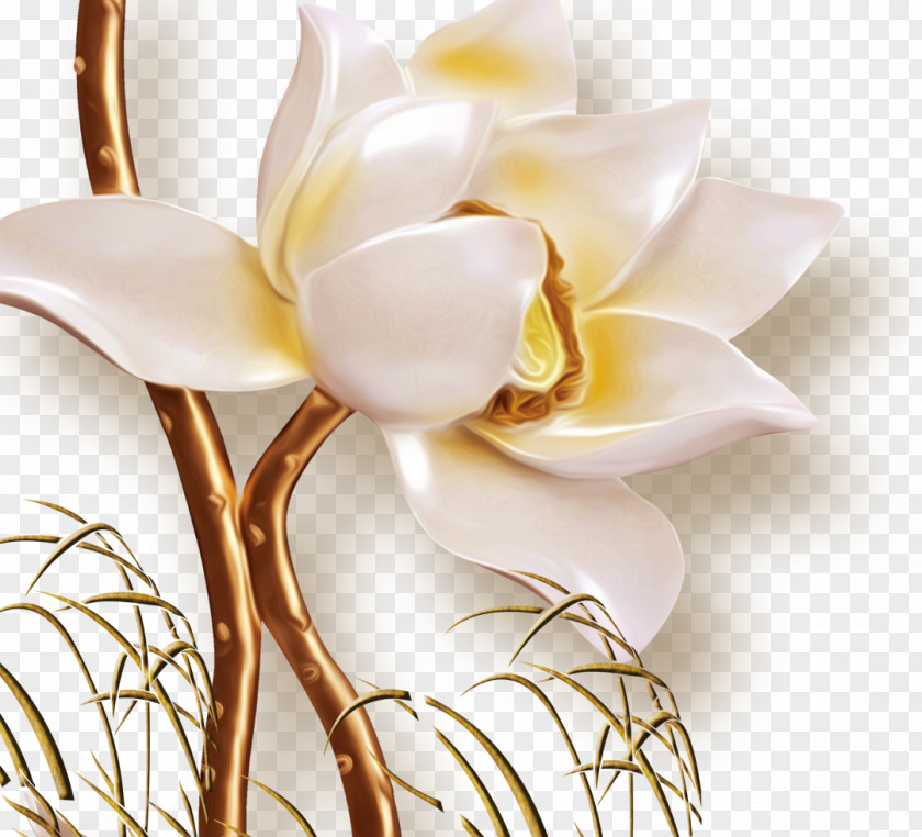 Diphtheria Lotus Flower Floral Design PNG