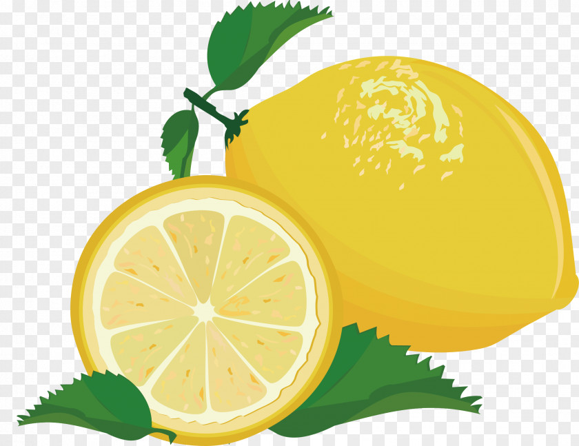 Edible Fruit Lemon Key Lime PNG