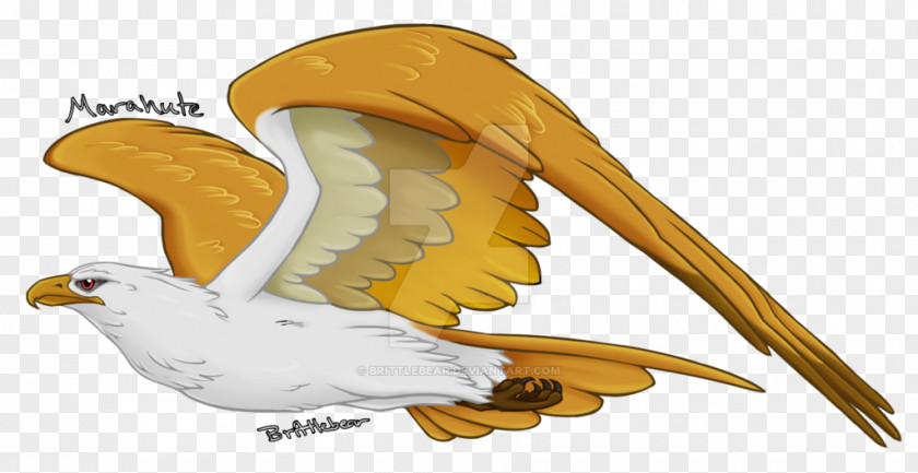 Giant Marahute Fan Art Drawing Eagle PNG