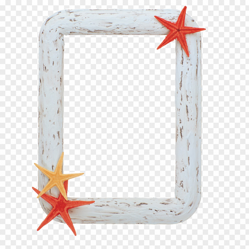 Starfish Frame Picture Computer File PNG